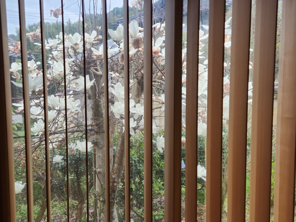 智頭杉バーチカルブラインドの画像